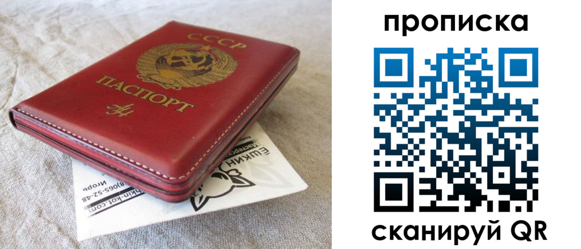 прописка для школы в Заволжье